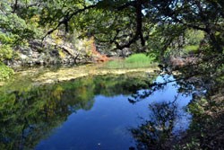 Fall Foliage 1 on 10/17/2011  