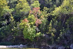 Fall Foliage 2 on 10/17/2011 
