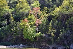 Fall Foliage 2 on 10/17/2011 