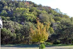 Fall Foliage 4 on 10/17/2011
