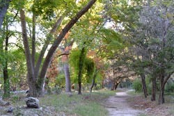Fall Foliage 5 on 10/17/2011