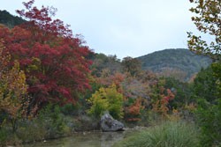 Fall Foliage 3 on 11/7/2011
