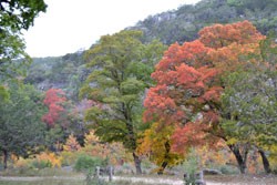 Fall Foliage 4 on 11/7/2011