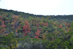 Fall Foliage 5 on 11/7/2011