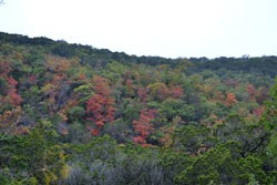 Fall Foliage 5 on 11/7/2011