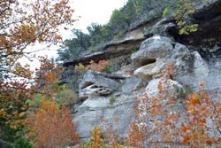 Fall Foliage 6 on 11/7/2011