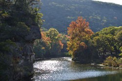 Fall Foliage 3 on 11/14/2011