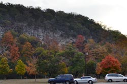 Fall Foliage 7 on 11/20/2011