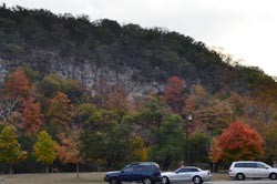 Fall Foliage 7 on 11/20/2011