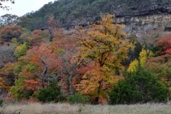 Fall Foliage 1 on 11/20/2011  