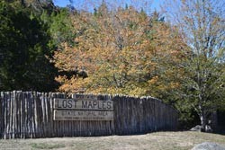 Fall Foliage 5 on 11/27/2011