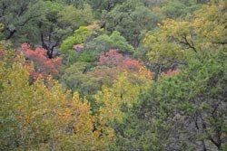 Fall Foliage 2 on 10/22-23/2011 