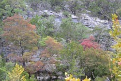 Fall Foliage 3 on 10/22-23/2011