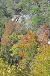 Fall Foliage 4 on 10/22-23/2011
