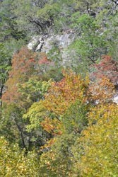 Fall Foliage 4 on 10/22-23/2011
