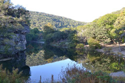 Fall Foliage 4 on 10/31/2011