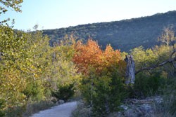 Fall Foliage 6 on 10/31/2011
