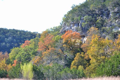 Fall Foliage 1 on 11/05/2012 (600x400)