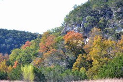 Fall Foliage 1 on 11/05/2012 (250x167)