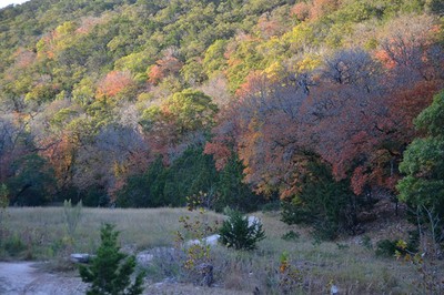 Fall Foliage 5 on 11/12/2012 (600x400)