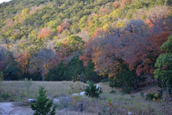 Fall Foliage 5 on 11/12/2012 (250x167) 