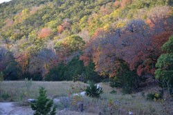 Fall Foliage 5 on 11/12/2012 (250x167) 