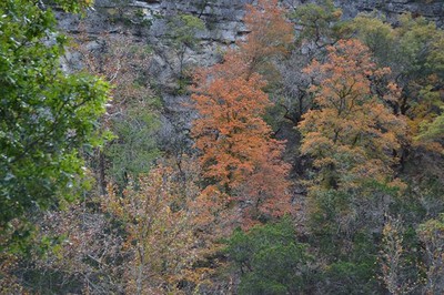 Fall Foliage 3 on 11/19/2012 (600x400)