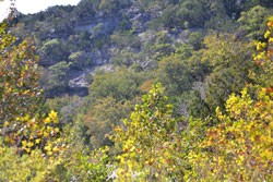 Fall Foliage 1 on 10/22/2012 (250x167)