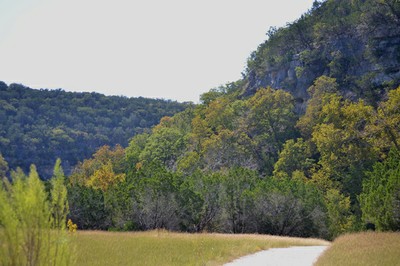 Fall Foliage 1 on 10/29/2012 (600x400)