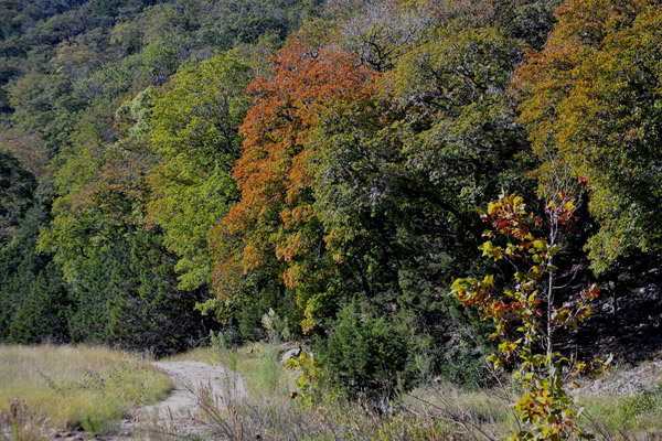 Fall Foliage 2 on 10/29/2012 (600x400)
