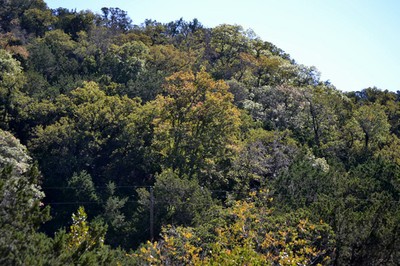 Fall Foliage 3 on 10/29/2012 (600x400)