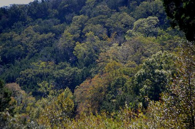 Fall Foliage 4 on 10/29/2012 (600x400)