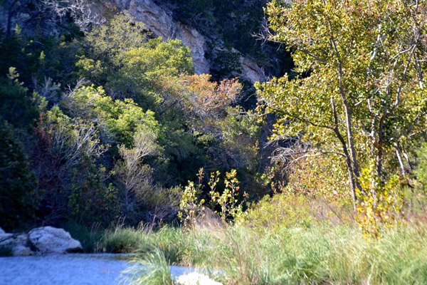 Fall Foliage 5 on 10/29/2012 (600x400)
