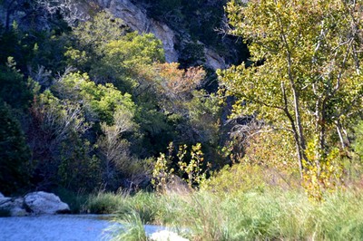 Fall Foliage 5 on 10/29/2012 (600x400)