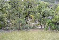Fall Foliage 2 on 10/09/2012