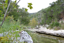 Fall Foliage 3 on 10/9/2012 (250x167)