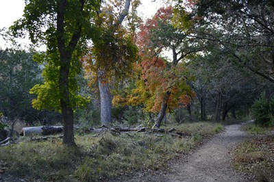 November 11, 2013 photo 1