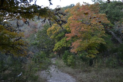 November 11, 2013 photo 2