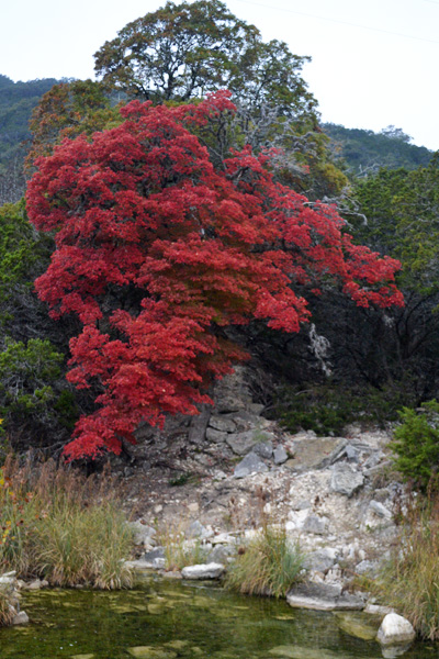 November 17, 2013 photo 4