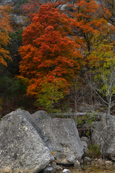 November 17, 2013 photo 5
