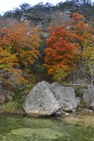 View a larger version of this Fall Foliage photo taken on November 17, by Richard Treece.