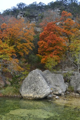 November 17, 2013 photo 6