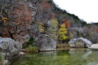 View a larger version of this Fall Foliage photo taken on November 25, by Richard Treece.