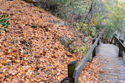 November 25, 2013 photo 5
