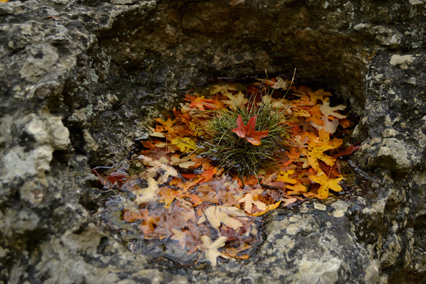 November 25, 2013 photo 8
