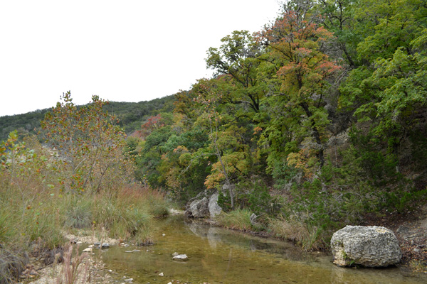 November 4, 2013 photo 1 by Richard Treece