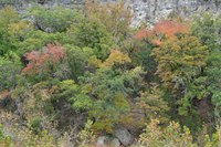 View a larger version of this Fall Foliage photo taken on November 4, by Richard Treece