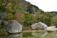 View a larger version of this Fall Foliage photo taken on November 4, by Richard Treece