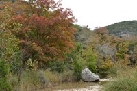 View a larger version of this Fall Foliage photo taken on November 4, by Richard Treece