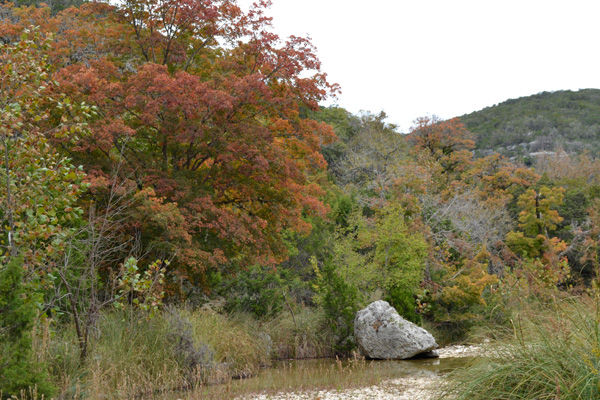 November 4, 2013 photo 5 by Richard Treece